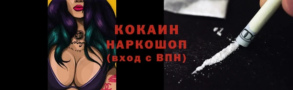 ПСИЛОЦИБИНОВЫЕ ГРИБЫ Арсеньев