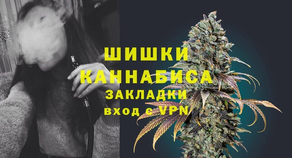 ПСИЛОЦИБИНОВЫЕ ГРИБЫ Арсеньев