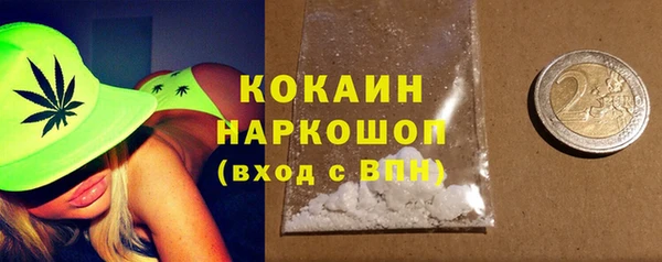 ПСИЛОЦИБИНОВЫЕ ГРИБЫ Арсеньев