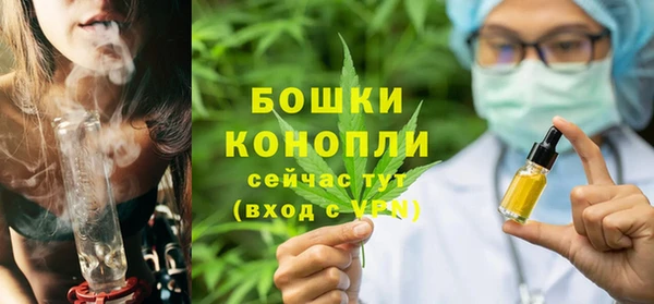 ПСИЛОЦИБИНОВЫЕ ГРИБЫ Арсеньев