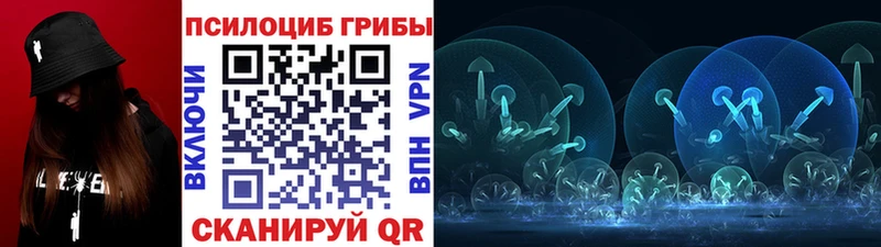 Галлюциногенные грибы Psilocybine cubensis  наркотики  Мегион 
